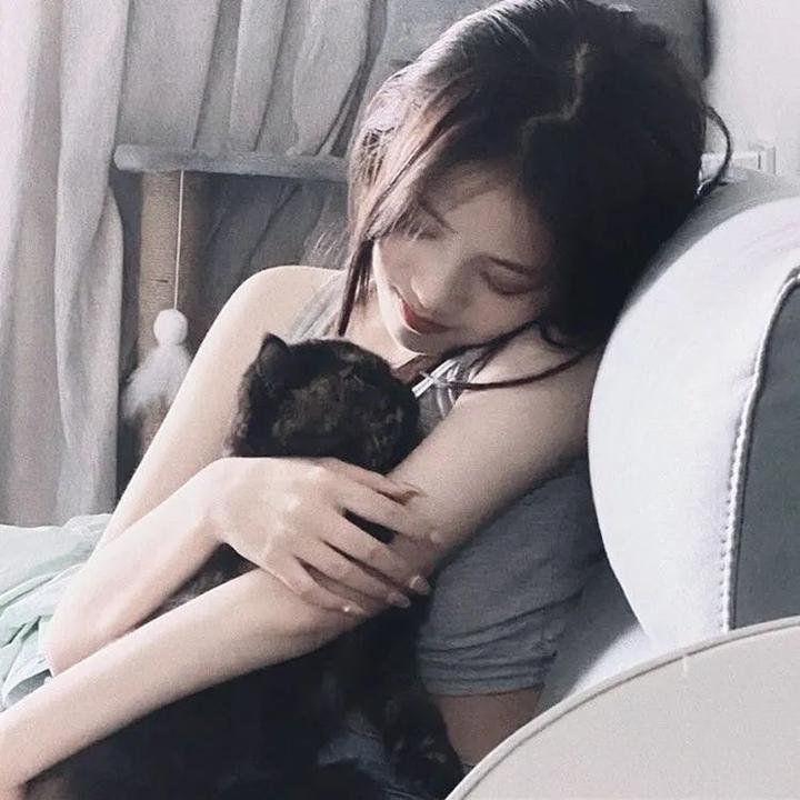 蚊子海岸第一季