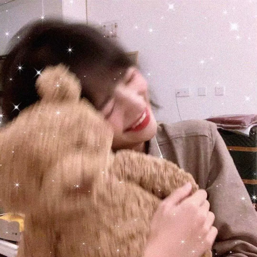 天竺鼠车车学车篇